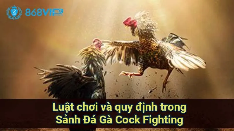Sảnh Đá Gà Cock Fighting - Thế Giới Của Những Cuộc Chiến 3 luat-choi-va-quy-dinh-trong-sanh-da-ga-cock-fighting