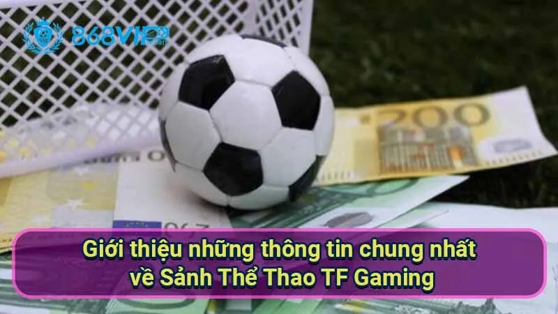 Sảnh Thể Thao TF Gaming - Khám Phá Nền Tảng Cá Cược Đỉnh Cao 2 gioi-thieu-nhung-thong-tin-chung-nhat-ve-sanh-the-thao-tf-gaming